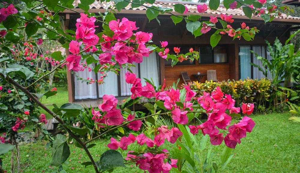 Kenaki Lodge Puerto Viejo de Talamanca Exterior foto